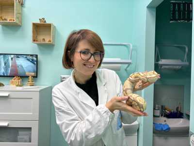 ...e poi di un vero e proprio pitone. �Questo � un �pet� che ha bisogno di particolari attenzioni�, afferma la veterinaria mentre prende in braccio il rettile...